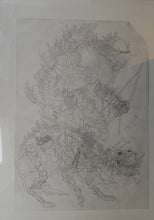 Load image into Gallery viewer, Original Drafts
