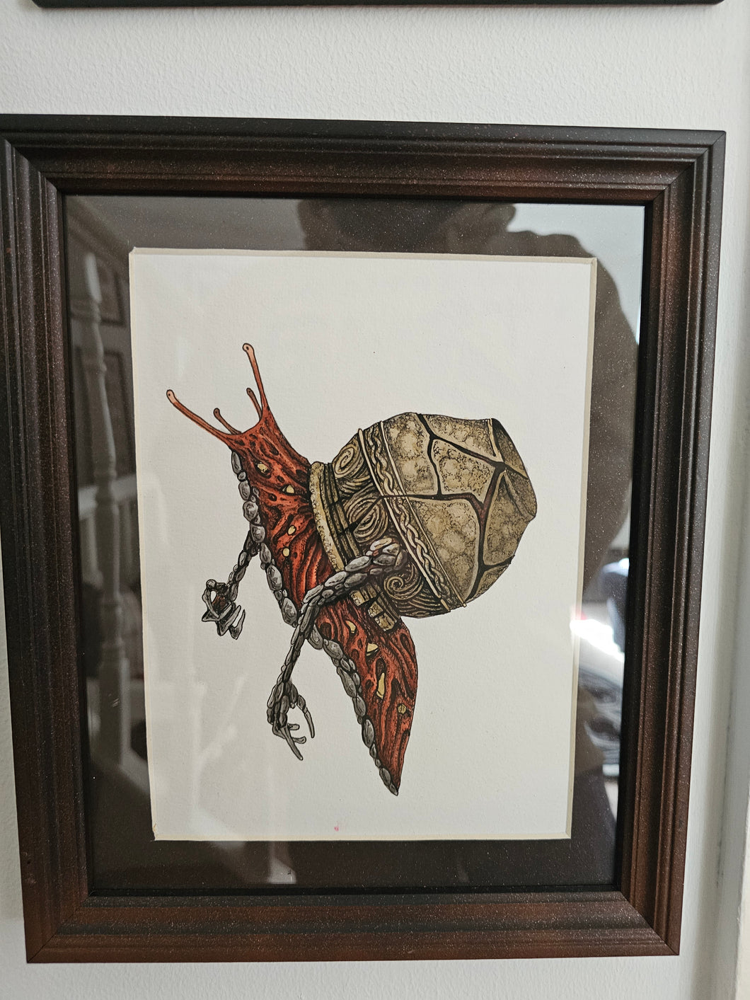 Original Alexander snail a5